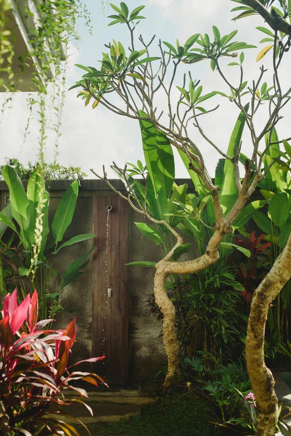 Taman Amartha Hotel Ubud Eksteriør billede